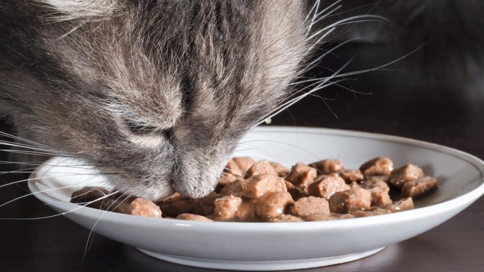 Ozon будет продавать товары для животных своей марки Pet pride на других маркетплейсах