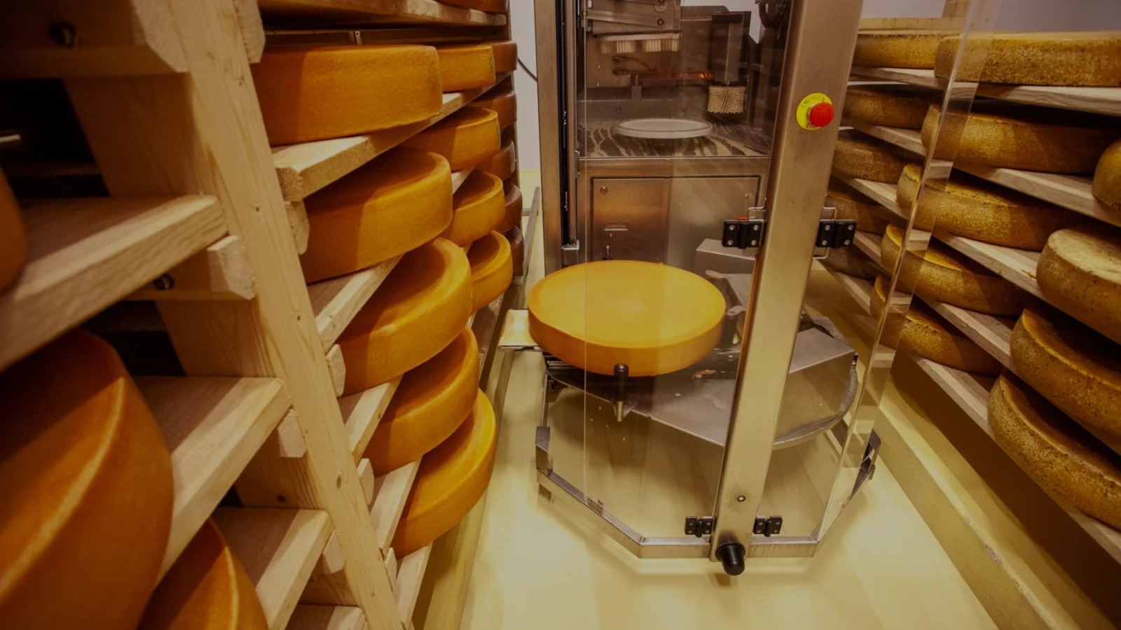 Дистрибутор продуктов Nelt стал совладельцем производителя сыров «Гранд премьер»