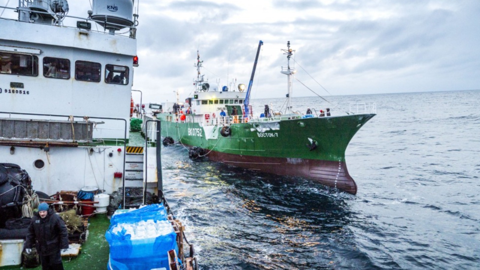Суд взыскал более 37,6 млрд руб. с рыбколхоза «Восток-1»