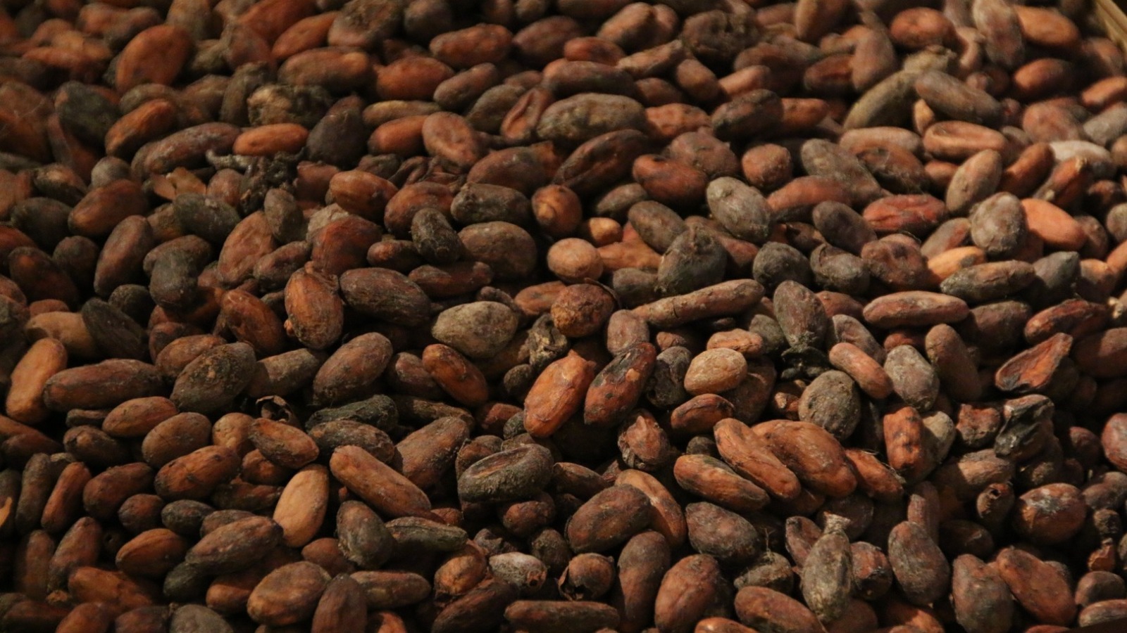 Переработка какао-бобов в мире упала до минимума за последние годы