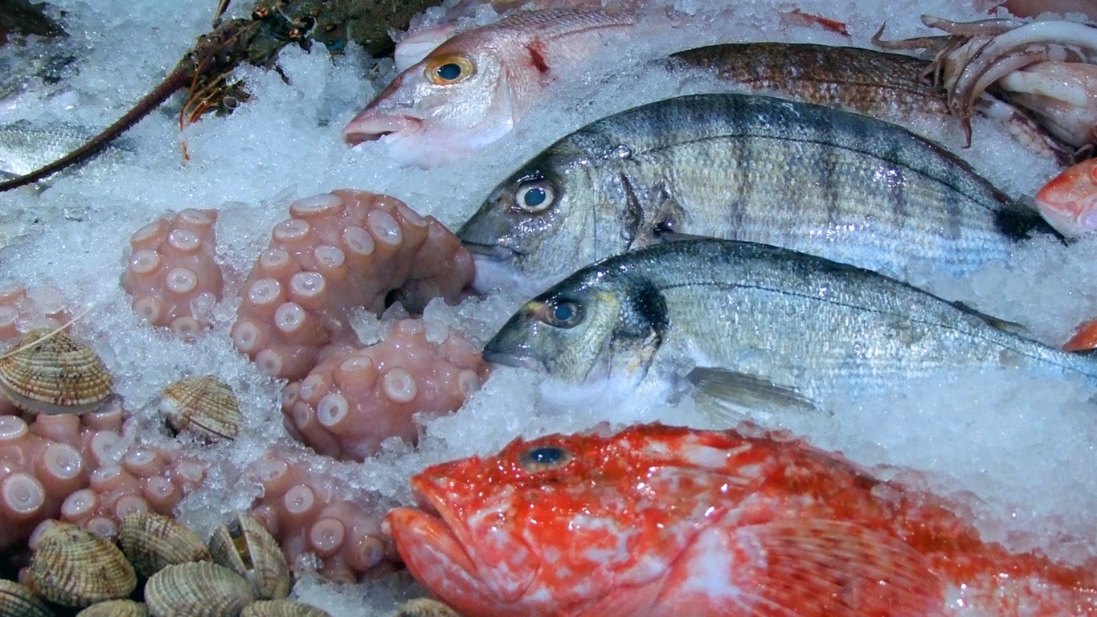 Поставщик компьютерных аксессуаров Usbmag откроет премиальный рыбный магазин