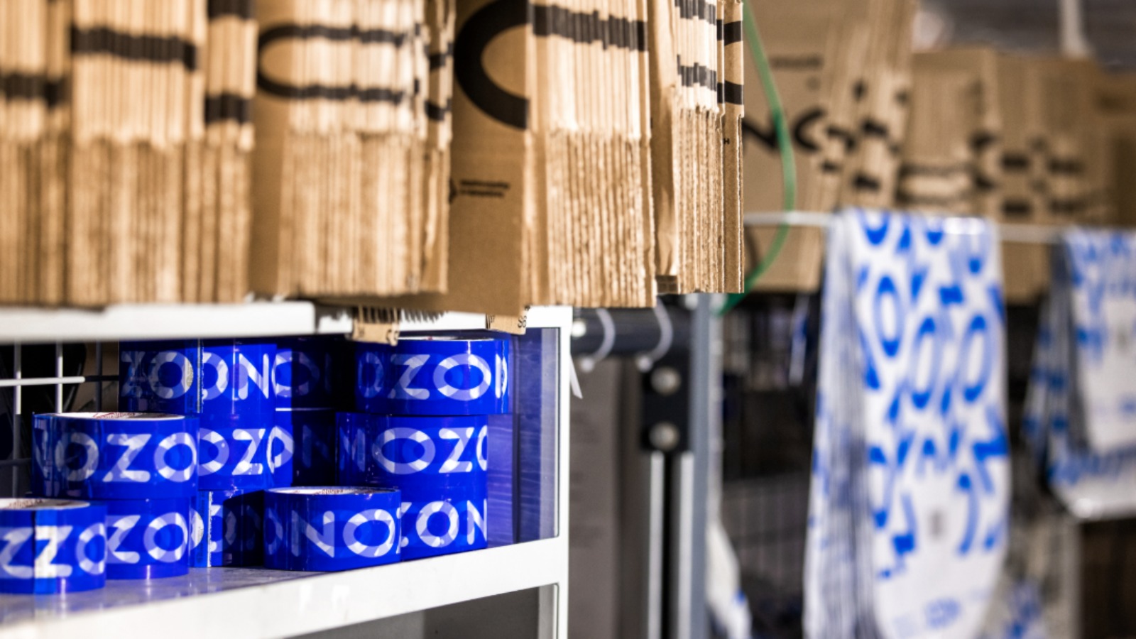 Wildberries, Ozon, «Мегамаркет» и Lamoda вошли в состав рабочей группы по платформенной экономике